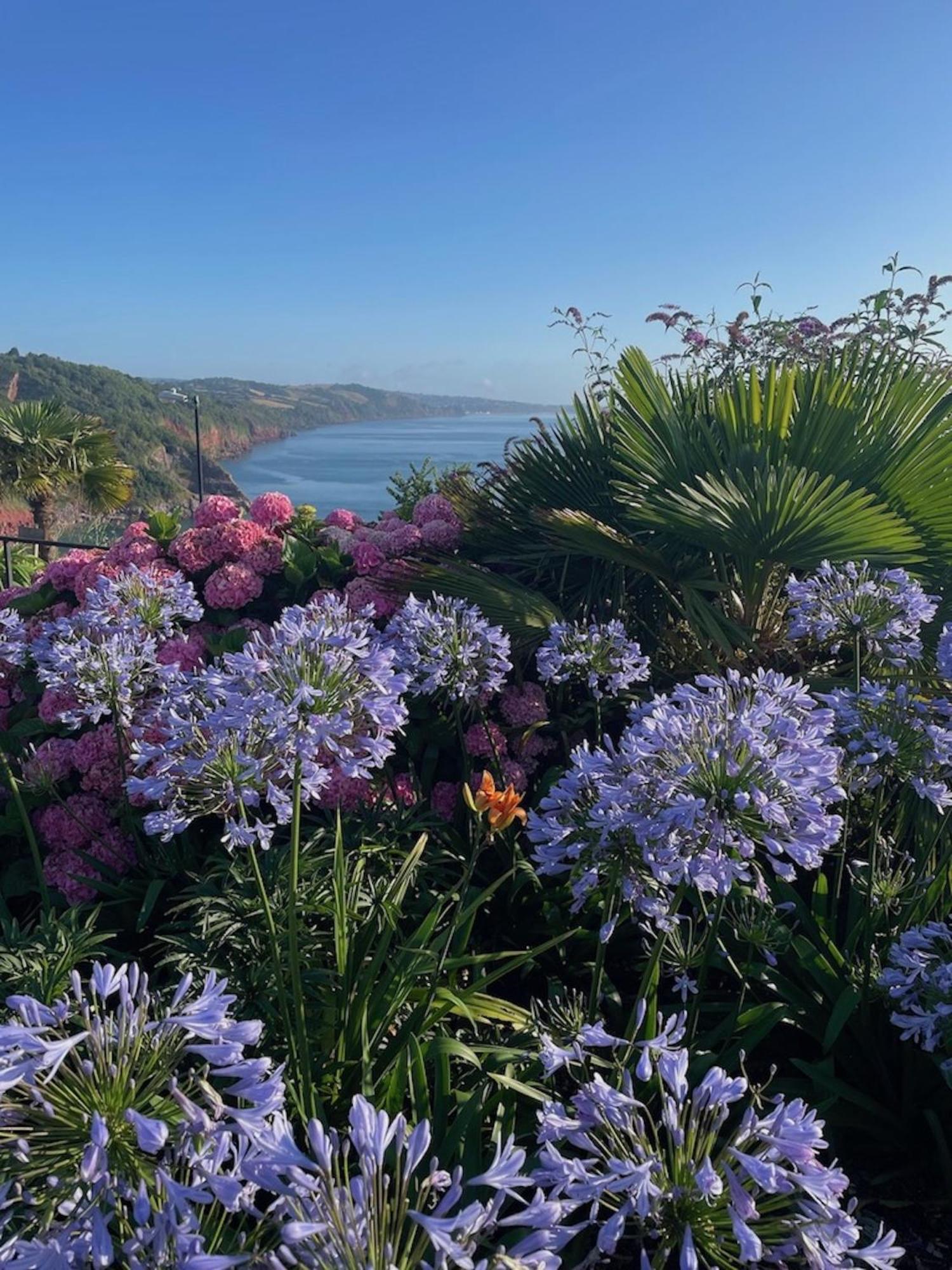 Headland View Boutique B&B Torquay Exterior photo